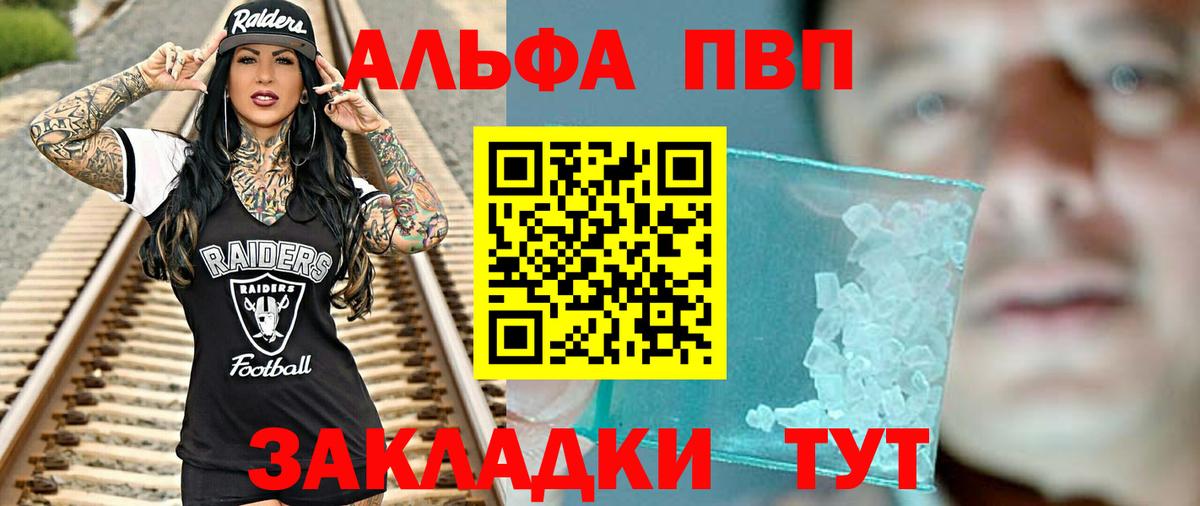 Альфа ПВП СК Дальнегорск