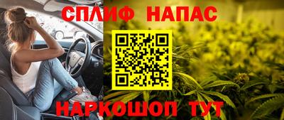 гашик Кандалакша