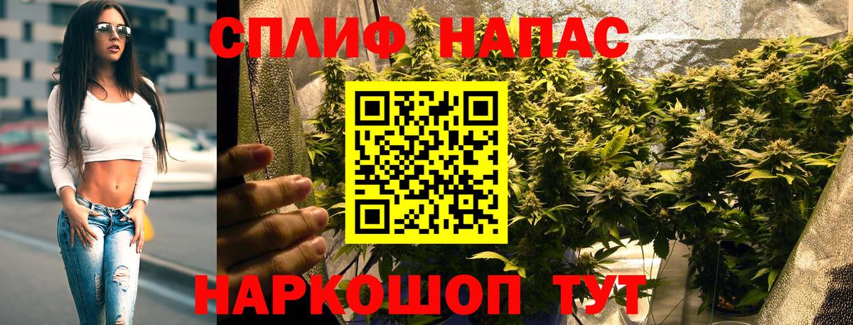 МАРИХУАНА тримм  Бошки Шишки марихуана  Дальнегорск  Вход с VPN  Канабис индика  Бошки марихуана White Widow 